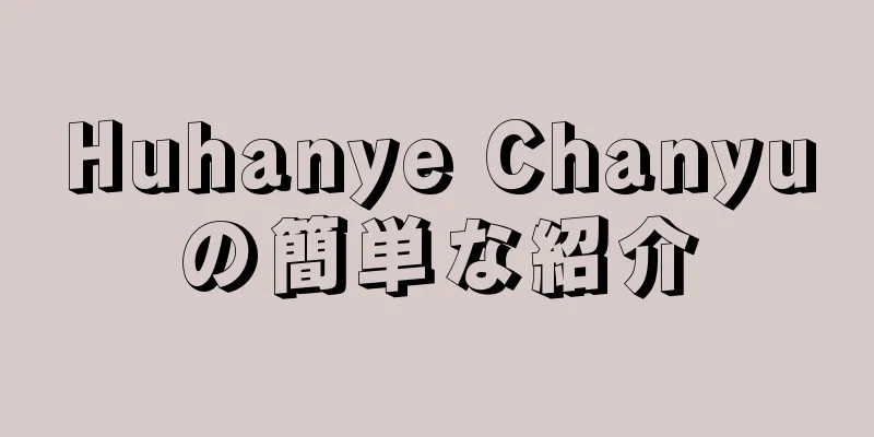 Huhanye Chanyuの簡単な紹介