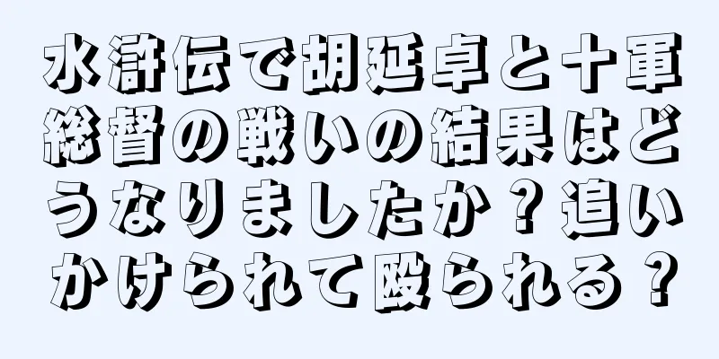 水滸伝で胡延卓と十軍総督の戦いの結果はどうなりましたか？追いかけられて殴られる？