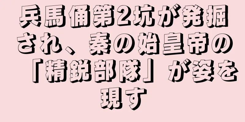 兵馬俑第2坑が発掘され、秦の始皇帝の「精鋭部隊」が姿を現す