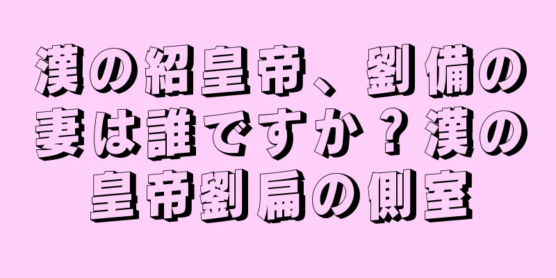 漢の紹皇帝、劉備の妻は誰ですか？漢の皇帝劉扁の側室