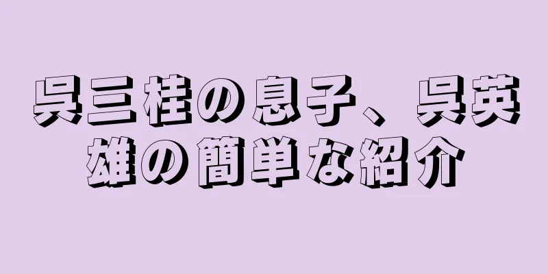 呉三桂の息子、呉英雄の簡単な紹介