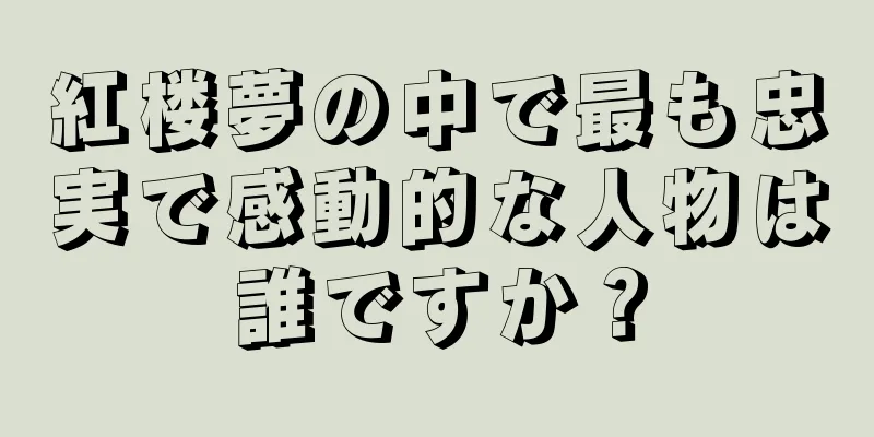 紅楼夢の中で最も忠実で感動的な人物は誰ですか？
