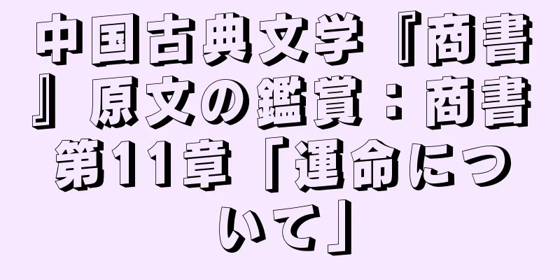 中国古典文学『商書』原文の鑑賞：商書第11章「運命について」