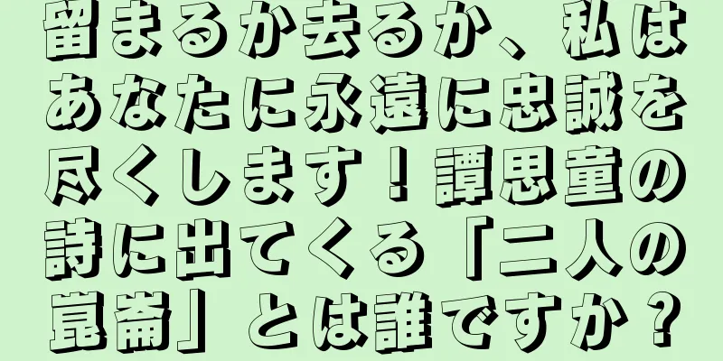 留まるか去るか、私はあなたに永遠に忠誠を尽くします！譚思童の詩に出てくる「二人の崑崙」とは誰ですか？