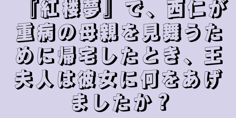 『紅楼夢』で、西仁が重病の母親を見舞うために帰宅したとき、王夫人は彼女に何をあげましたか？