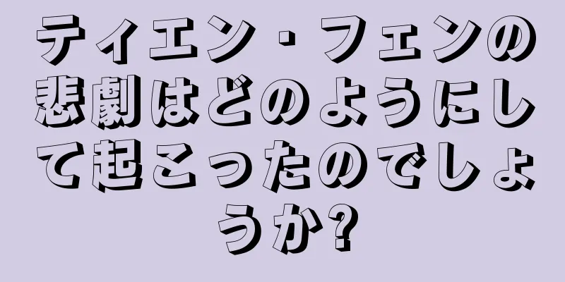 ティエン・フェンの悲劇はどのようにして起こったのでしょうか?