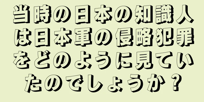 当時の日本の知識人は日本軍の侵略犯罪をどのように見ていたのでしょうか？