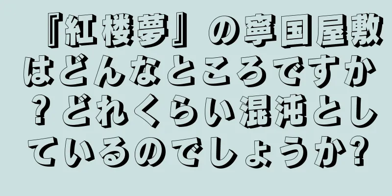 『紅楼夢』の寧国屋敷はどんなところですか？どれくらい混沌としているのでしょうか?