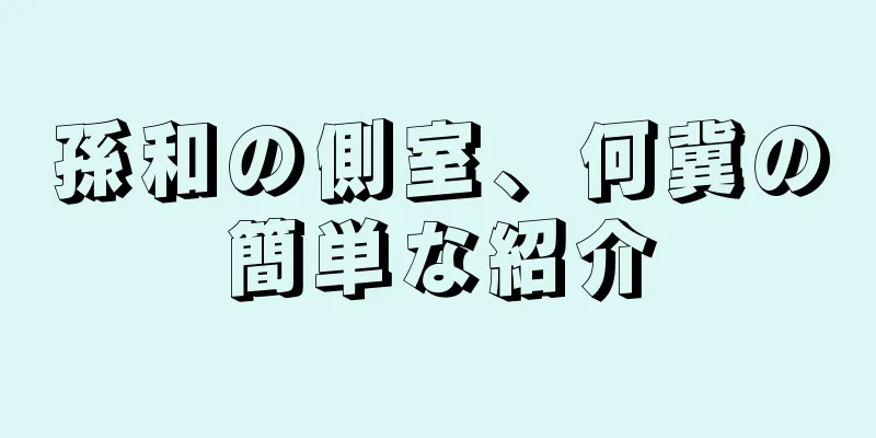 孫和の側室、何冀の簡単な紹介