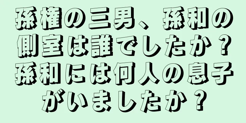 孫権の三男、孫和の側室は誰でしたか？孫和には何人の息子がいましたか？
