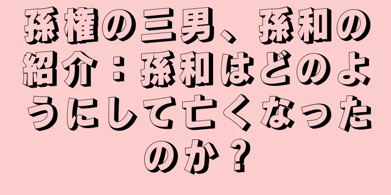 孫権の三男、孫和の紹介：孫和はどのようにして亡くなったのか？