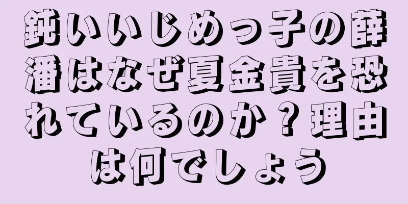 鈍いいじめっ子の薛潘はなぜ夏金貴を恐れているのか？理由は何でしょう