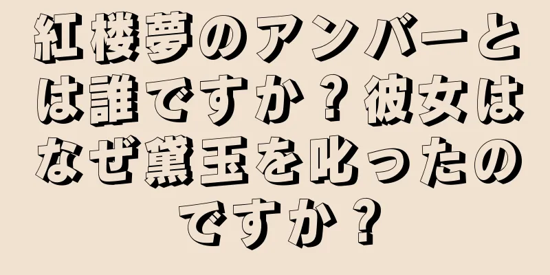 紅楼夢のアンバーとは誰ですか？彼女はなぜ黛玉を叱ったのですか？