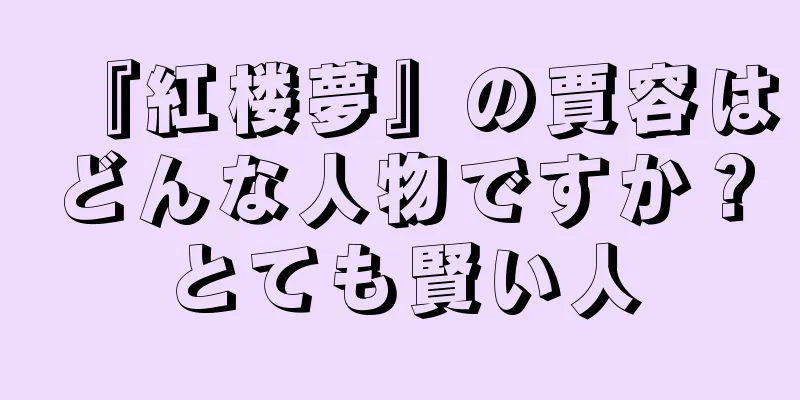 『紅楼夢』の賈容はどんな人物ですか？とても賢い人
