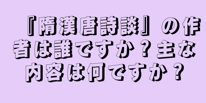 『隋漢唐詩談』の作者は誰ですか？主な内容は何ですか？
