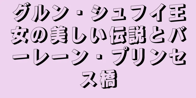グルン・シュフイ王女の美しい伝説とバーレーン・プリンセス橋