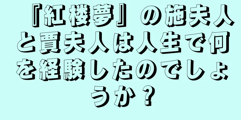 『紅楼夢』の施夫人と賈夫人は人生で何を経験したのでしょうか？