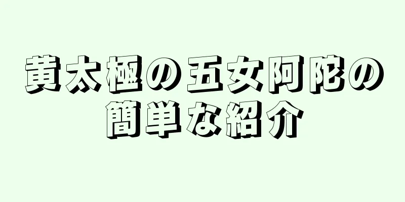 黄太極の五女阿陀の簡単な紹介