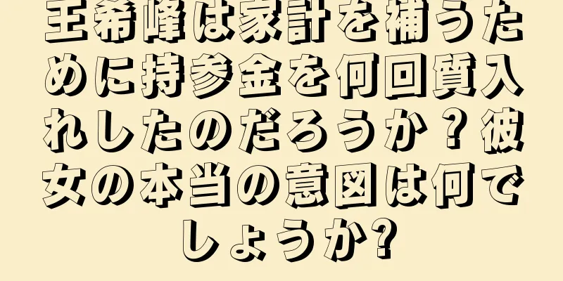 王希峰は家計を補うために持参金を何回質入れしたのだろうか？彼女の本当の意図は何でしょうか?