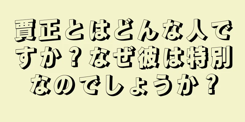 賈正とはどんな人ですか？なぜ彼は特別なのでしょうか？