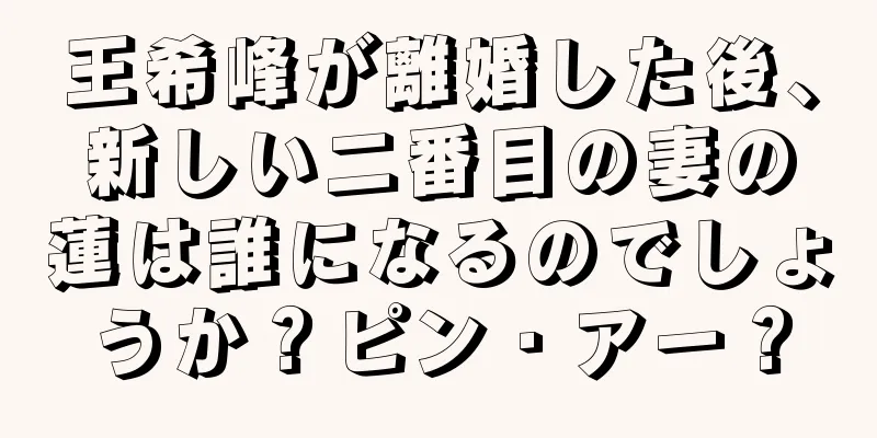 王希峰が離婚した後、新しい二番目の妻の蓮は誰になるのでしょうか？ピン・アー？