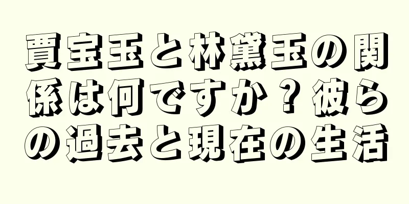賈宝玉と林黛玉の関係は何ですか？彼らの過去と現在の生活