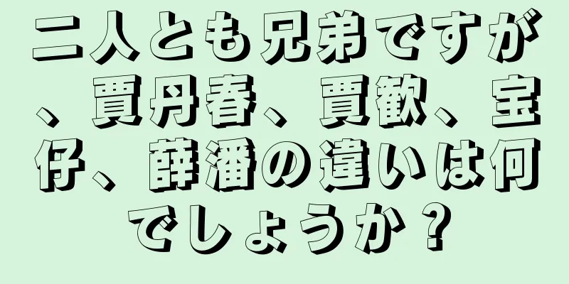 二人とも兄弟ですが、賈丹春、賈歓、宝仔、薛潘の違いは何でしょうか？