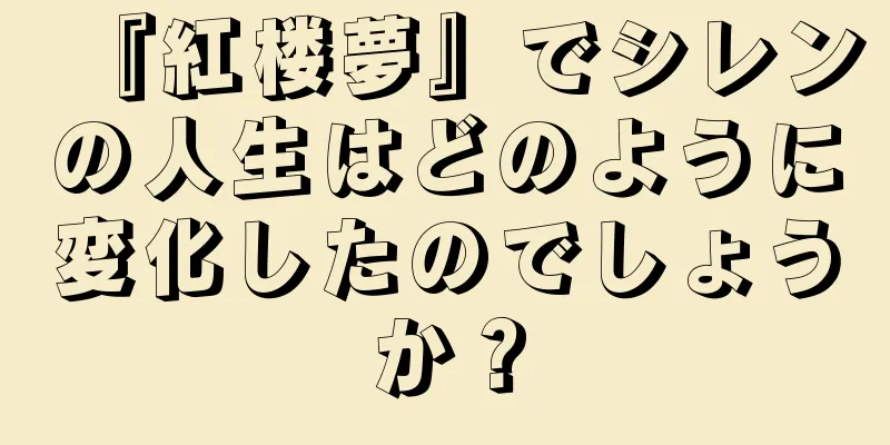 『紅楼夢』でシレンの人生はどのように変化したのでしょうか？