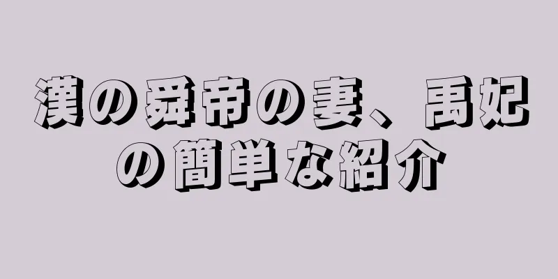 漢の舜帝の妻、禹妃の簡単な紹介