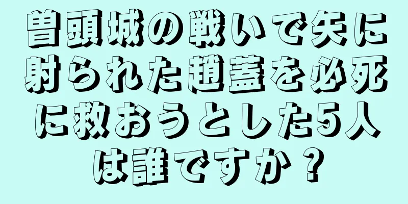 曽頭城の戦いで矢に射られた趙蓋を必死に救おうとした5人は誰ですか？