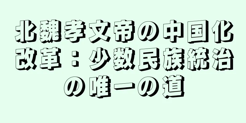 北魏孝文帝の中国化改革：少数民族統治の唯一の道