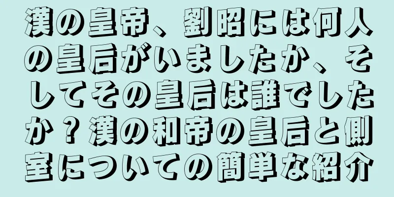 漢の皇帝、劉昭には何人の皇后がいましたか、そしてその皇后は誰でしたか？漢の和帝の皇后と側室についての簡単な紹介