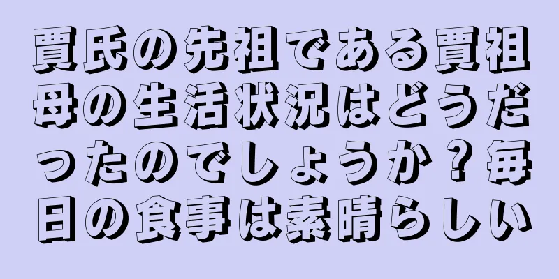 賈氏の先祖である賈祖母の生活状況はどうだったのでしょうか？毎日の食事は素晴らしい
