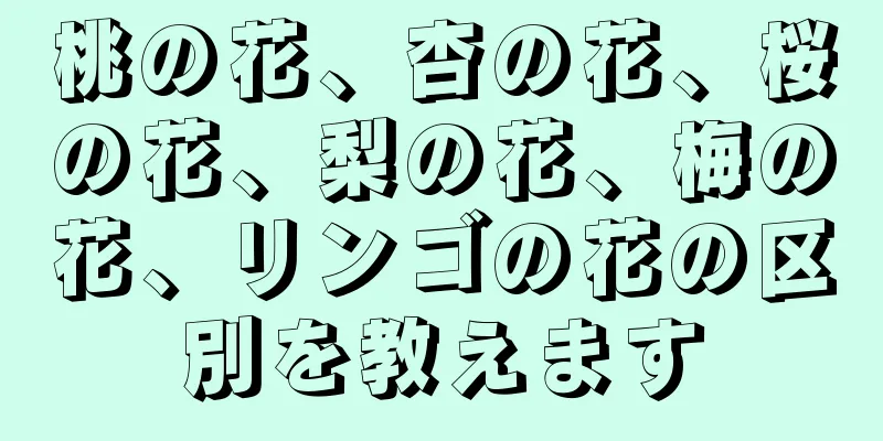 桃の花、杏の花、桜の花、梨の花、梅の花、リンゴの花の区別を教えます