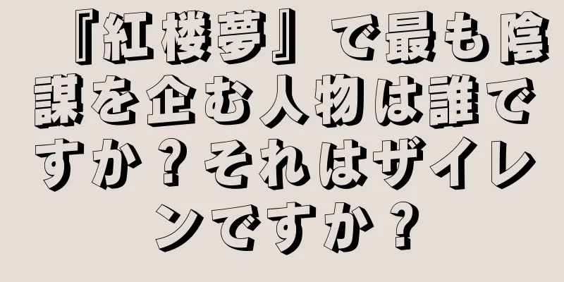 『紅楼夢』で最も陰謀を企む人物は誰ですか？それはザイレンですか？