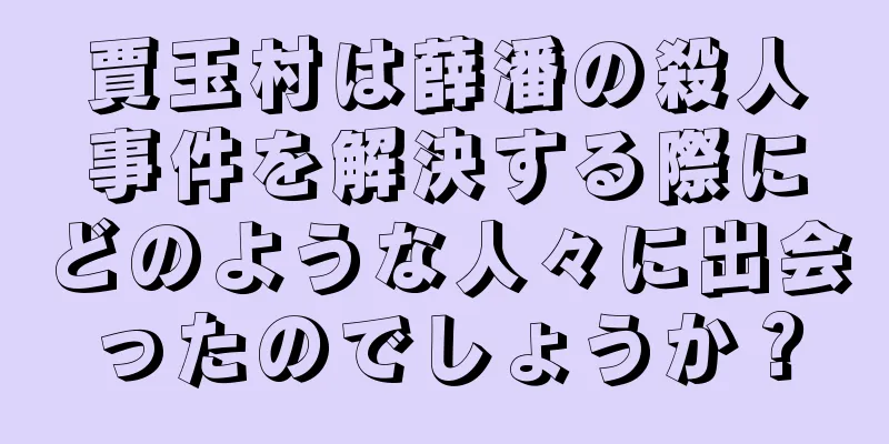 賈玉村は薛潘の殺人事件を解決する際にどのような人々に出会ったのでしょうか？