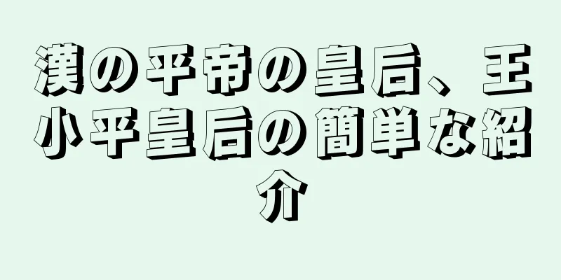 漢の平帝の皇后、王小平皇后の簡単な紹介