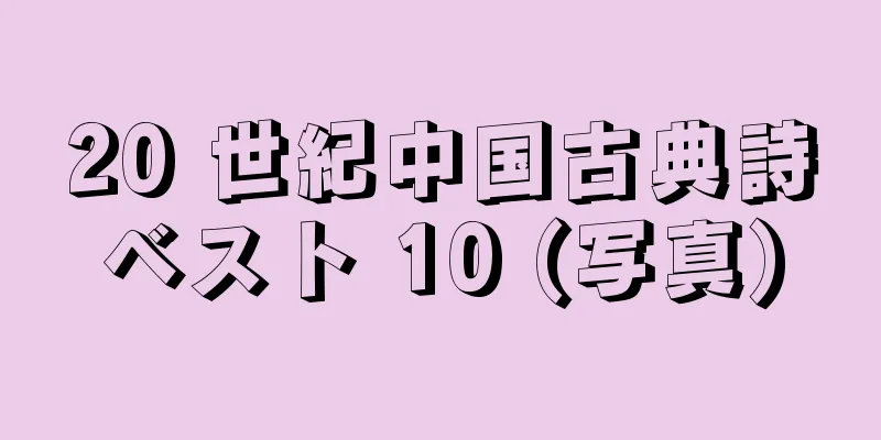 20 世紀中国古典詩ベスト 10 (写真)