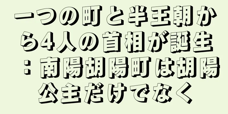 一つの町と半王朝から4人の首相が誕生：南陽胡陽町は胡陽公主だけでなく