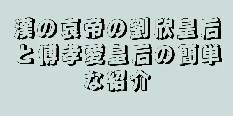 漢の哀帝の劉欣皇后と傅孝愛皇后の簡単な紹介