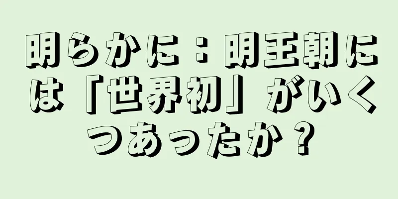 明らかに：明王朝には「世界初」がいくつあったか？