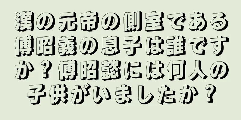 漢の元帝の側室である傅昭義の息子は誰ですか？傅昭懿には何人の子供がいましたか？