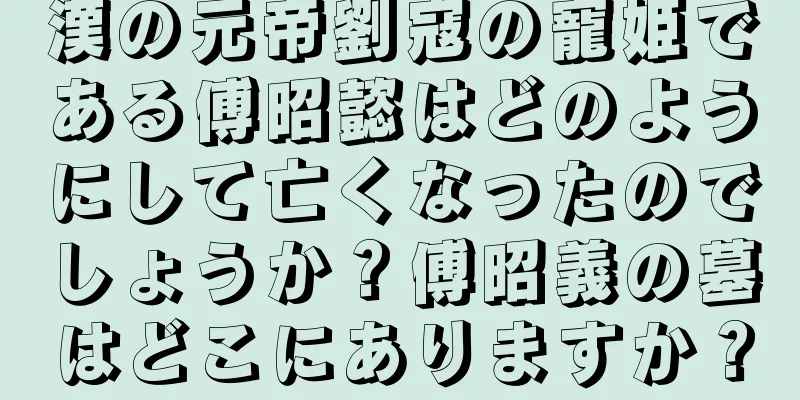 漢の元帝劉寇の寵姫である傅昭懿はどのようにして亡くなったのでしょうか？傅昭義の墓はどこにありますか？