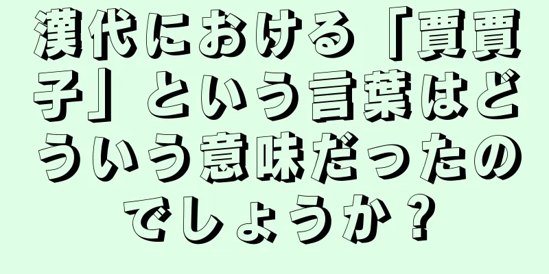 漢代における「賈賈子」という言葉はどういう意味だったのでしょうか？