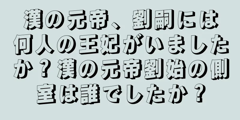漢の元帝、劉嗣には何人の王妃がいましたか？漢の元帝劉始の側室は誰でしたか？