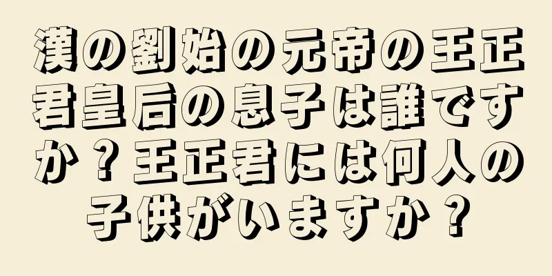 漢の劉始の元帝の王正君皇后の息子は誰ですか？王正君には何人の子供がいますか？