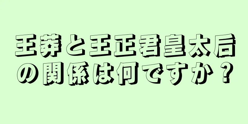 王莽と王正君皇太后の関係は何ですか？