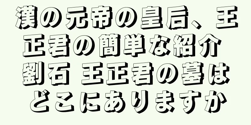 漢の元帝の皇后、王正君の簡単な紹介 劉石 王正君の墓はどこにありますか
