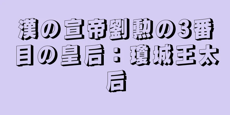 漢の宣帝劉勲の3番目の皇后：瓊城王太后