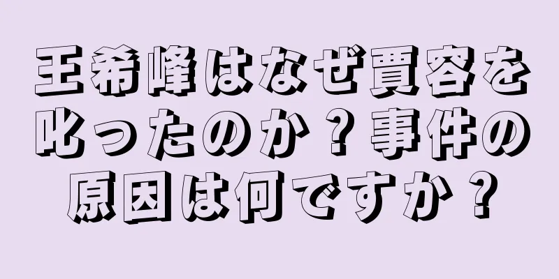 王希峰はなぜ賈容を叱ったのか？事件の原因は何ですか？